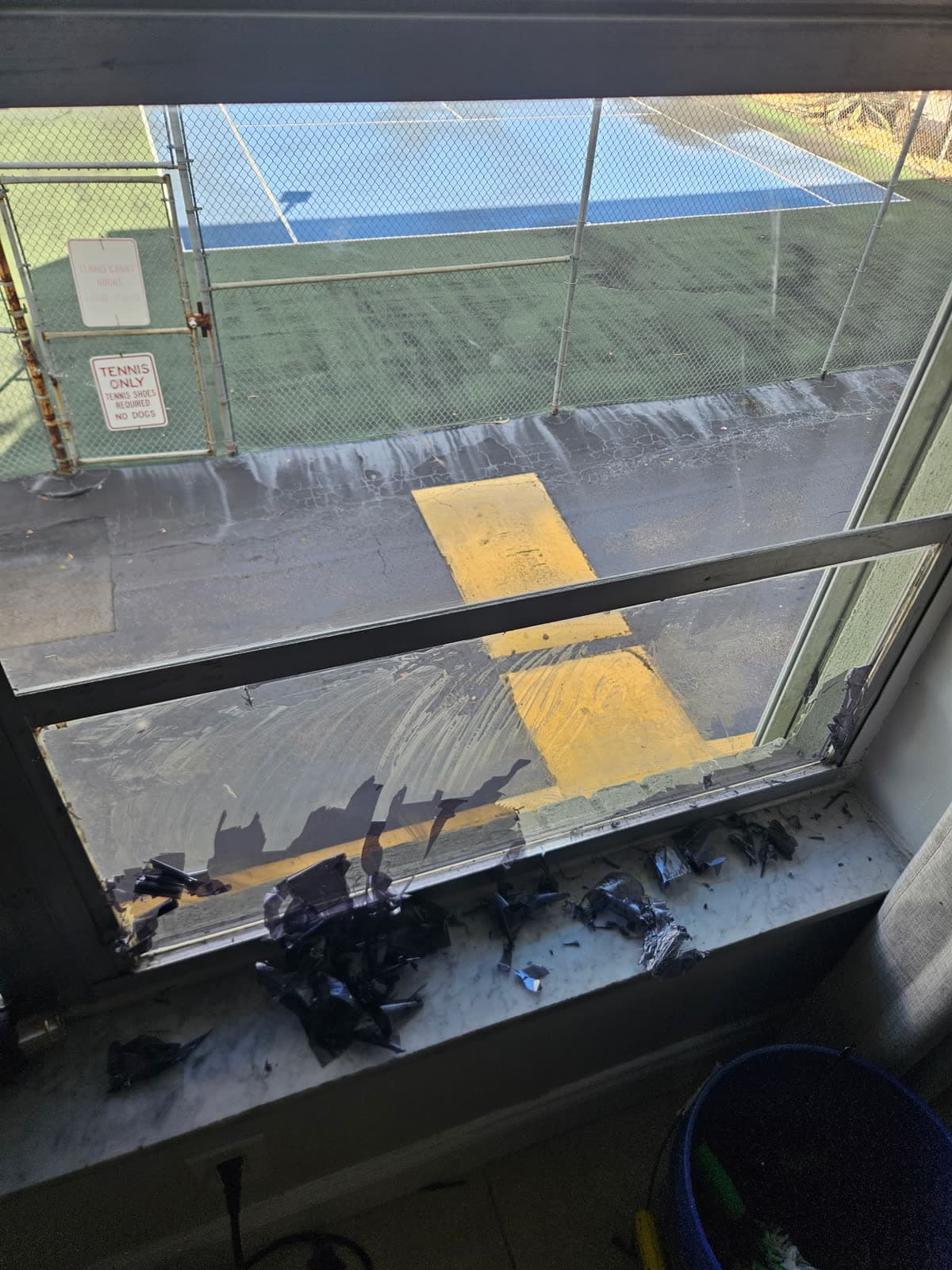 Window tint film being stripped, shreds on the sill